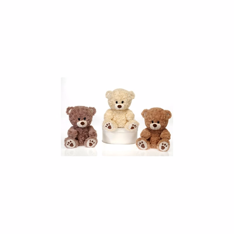 Paw Print Bear Plush Toys - Assorted Colors 9.5"