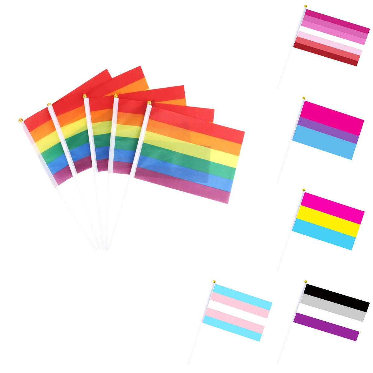 Holding A Rainbow Flag 1