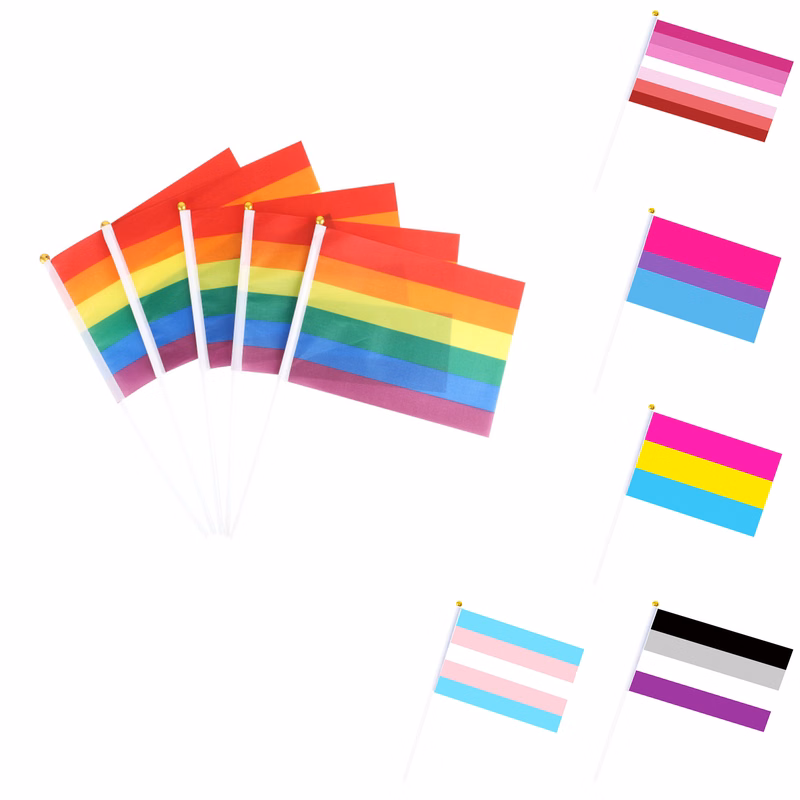 Holding A Rainbow Flag