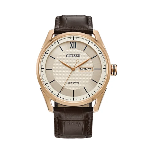 Citizen Men's Classic Brown Leather Strap Watch 1