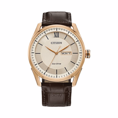 Citizen Men's Classic Brown Leather Strap Watch