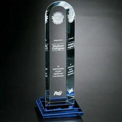 Vision Award 1