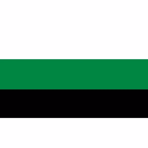 Neutrois Stick Flag