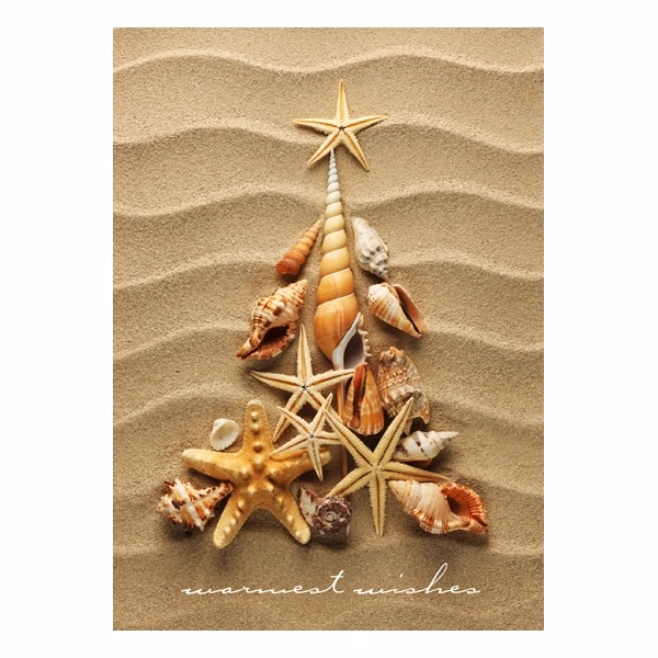 Waves of Warm Wishes Regional Holiday Card