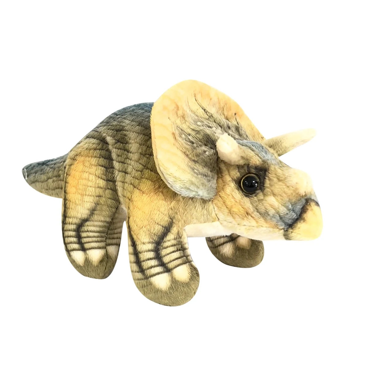 Green Big Eye Triceratops 1