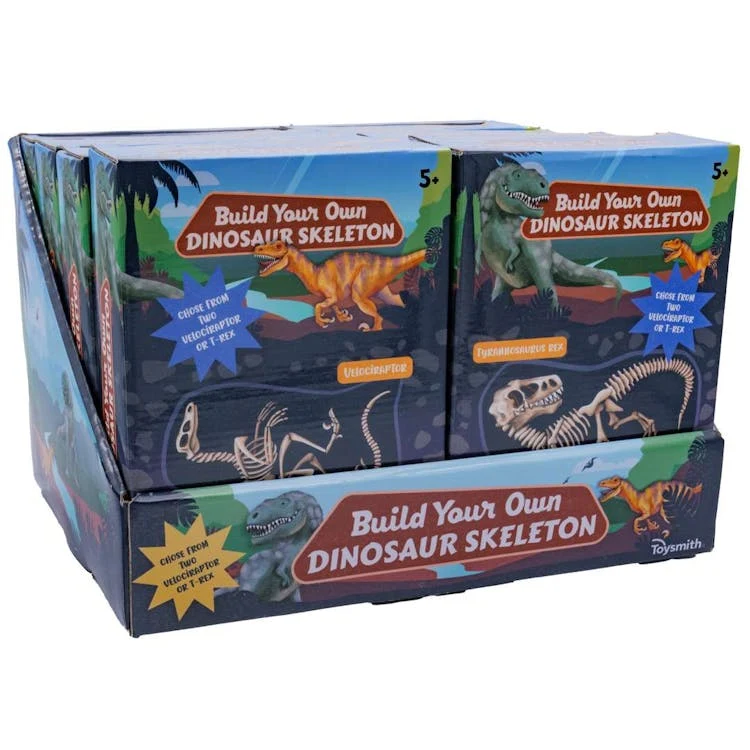 Build Your Own Dinosaur Skeleton Kit 1