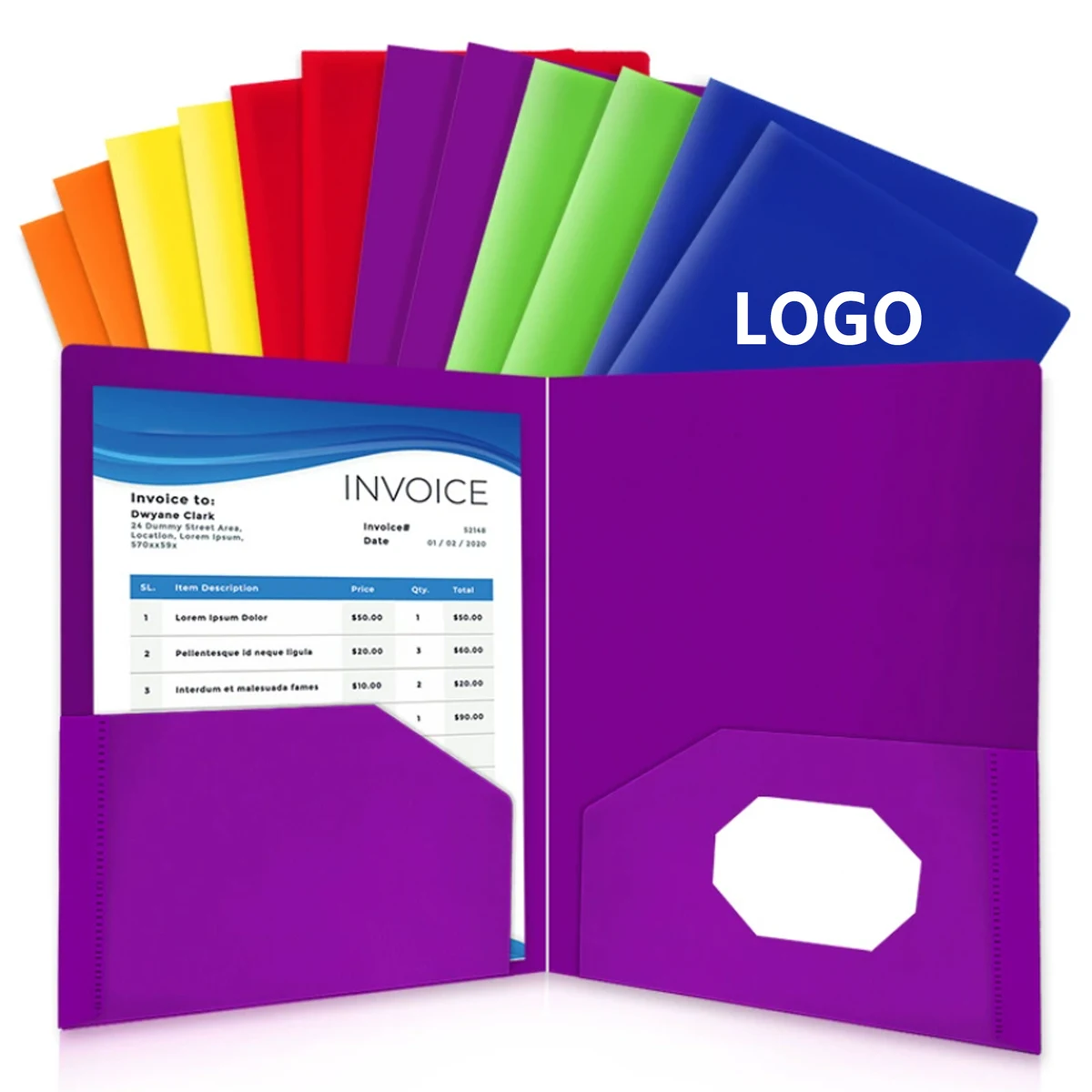 Plastic Folders with Pockets 1