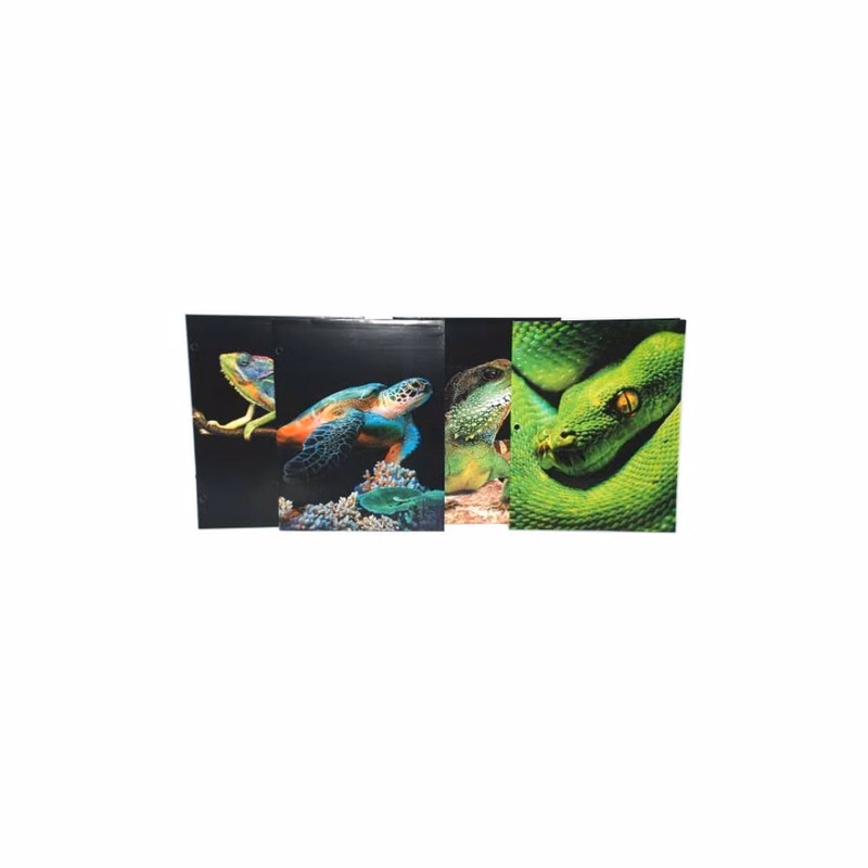 2-Pocket Folders - Reptiles