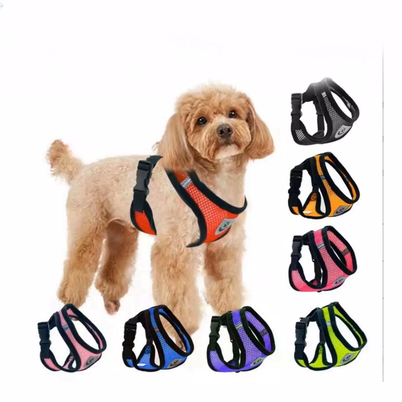 Breathable Mesh Pet Harness Set