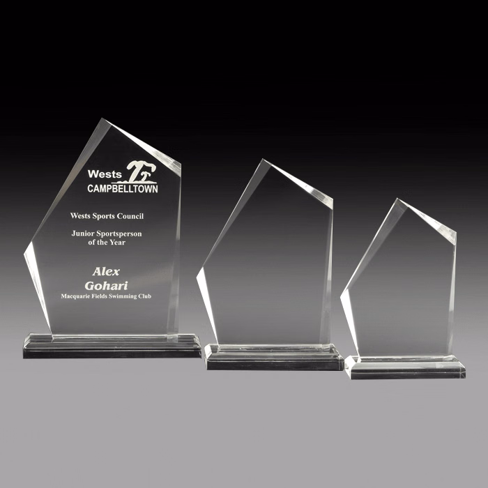 Eccentric Acrylic Trophy on Base