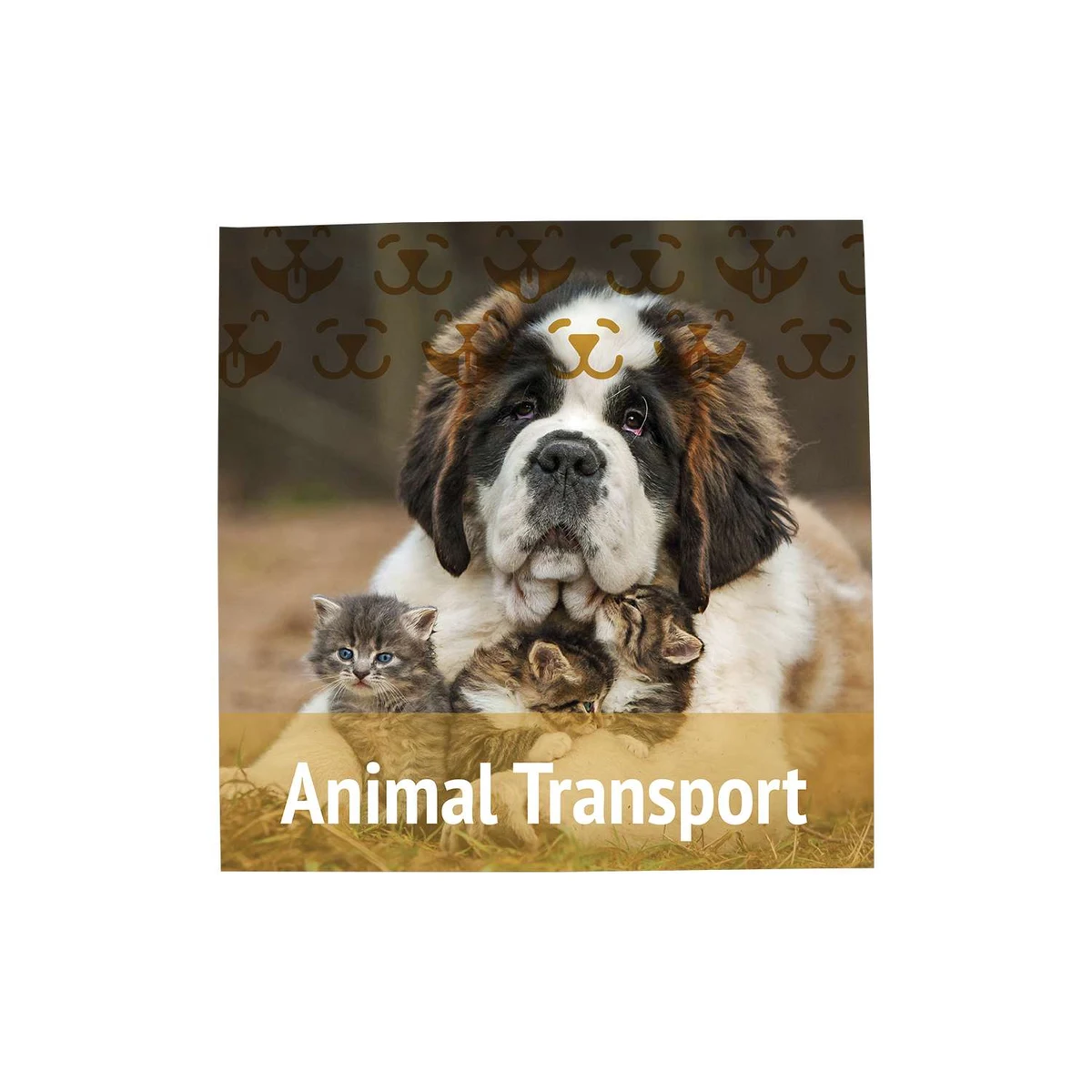 18" x 18" Magnet Promo Sign 1