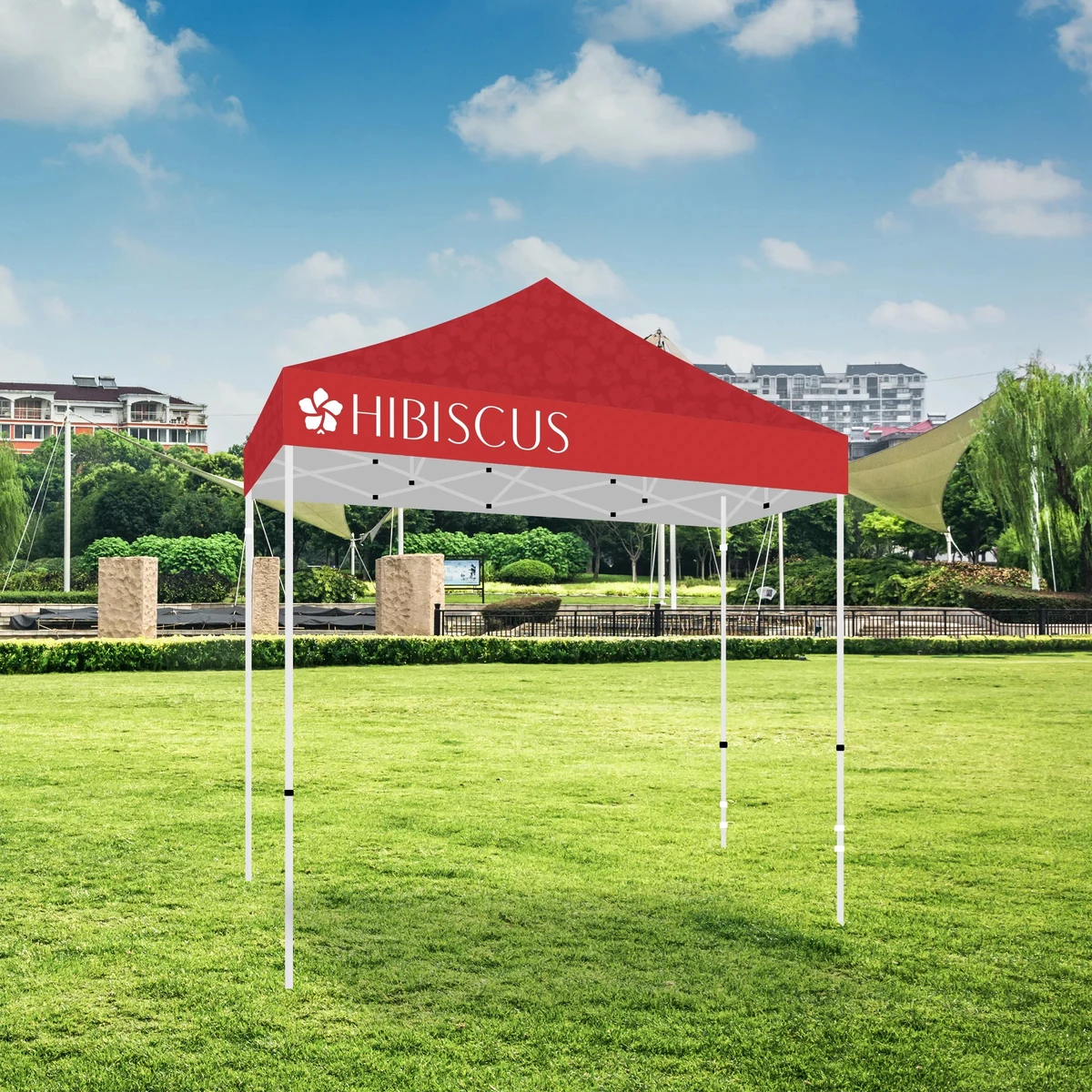 10' X 10' Tent w/ Full Color Canopy 1