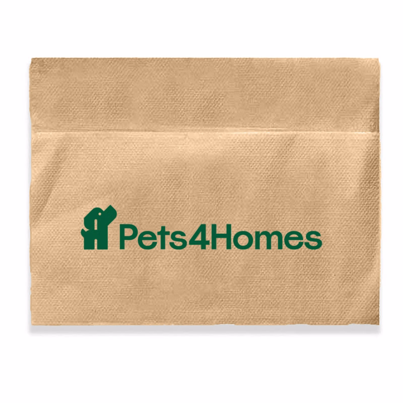 1-Ply Kraft Dispenser Napkin
