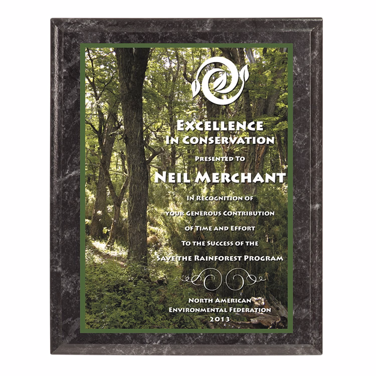 USA Marbled Black Finish Award Plaque-Full Color