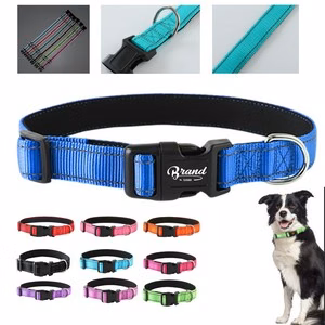 Reflective Nylon Dog Collar For Night Visibility