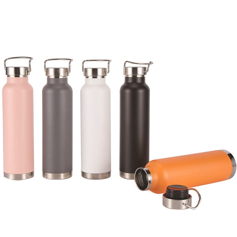 22 oz Double Wall Stainless Bottle