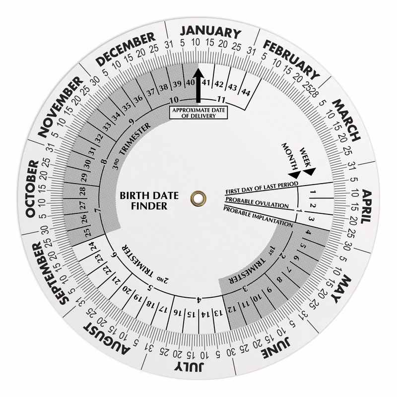 White Plastic Birth Date Finder Pregnancy Wheel Calculator 6" dia