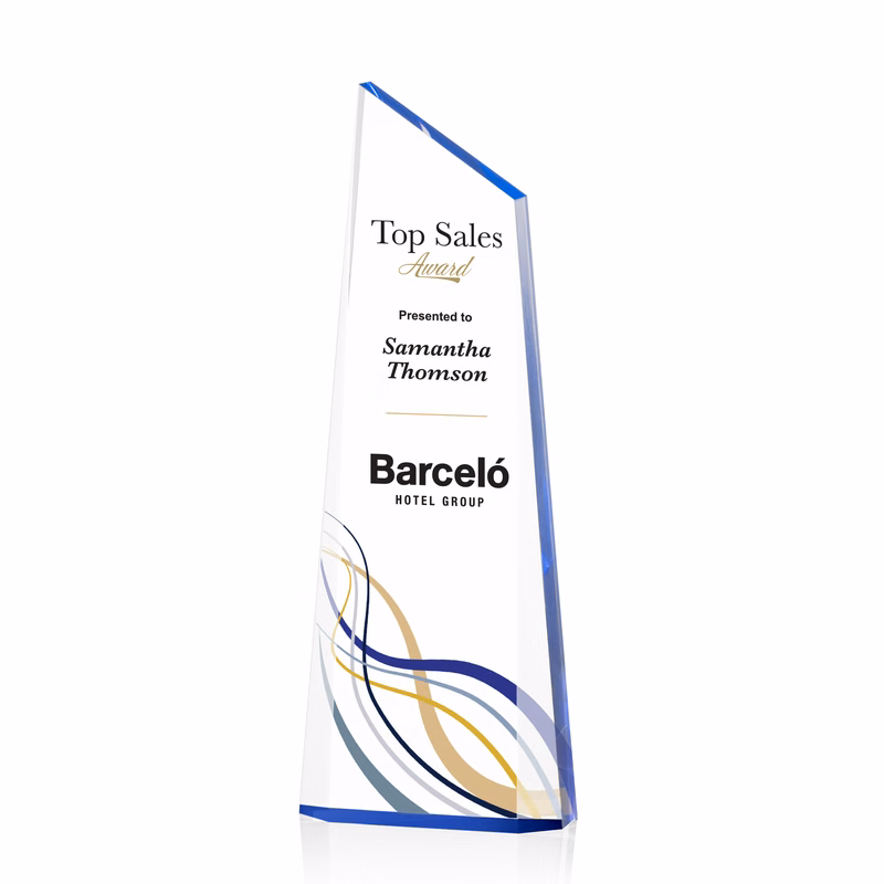Webster VividPrint™ Award