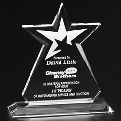 Guardian Award 1