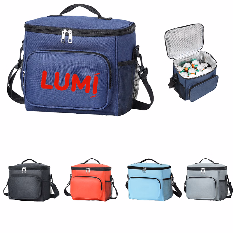 10L Portable Lunch Cooler Bag