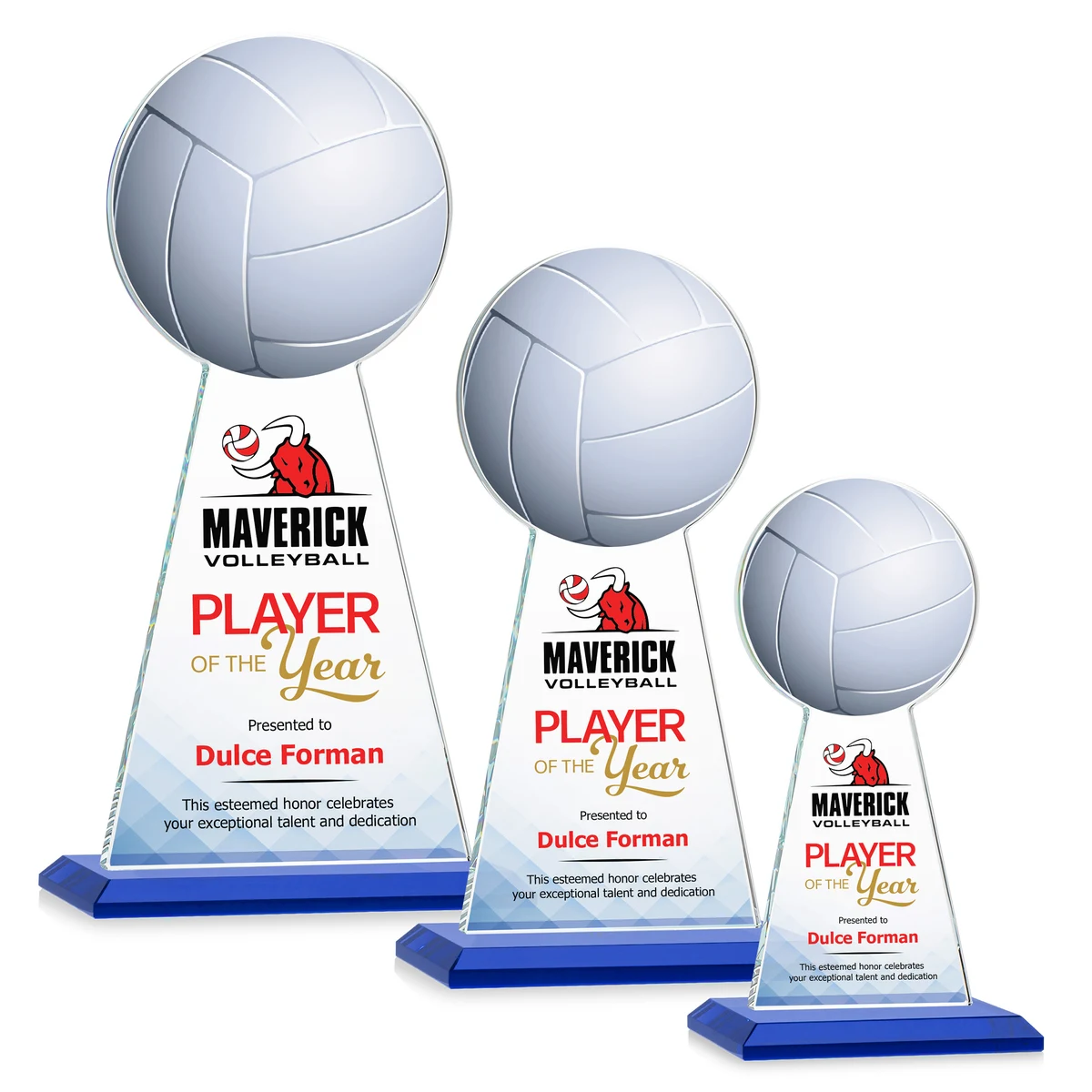 Edenwood Volleyball VividPrint™ Award - Blue 1