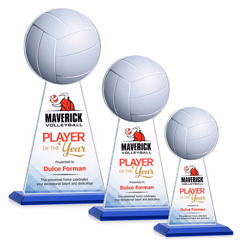 Edenwood Volleyball VividPrint™ Award - Blue