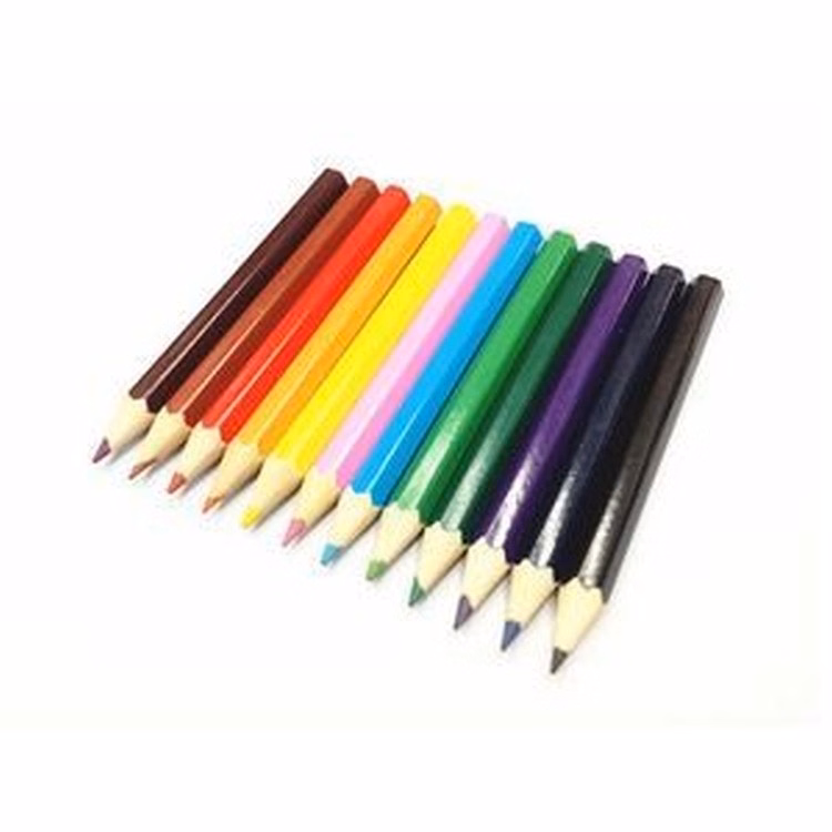 Professional Artist Colored Pencils