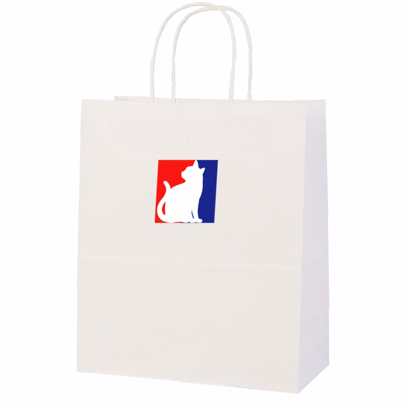 Custom Kraft Paper Bag - Handles, Eco-Friendly