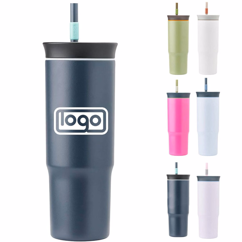 17oz Insulated Stainless Steel Water Bottle w/ Straw