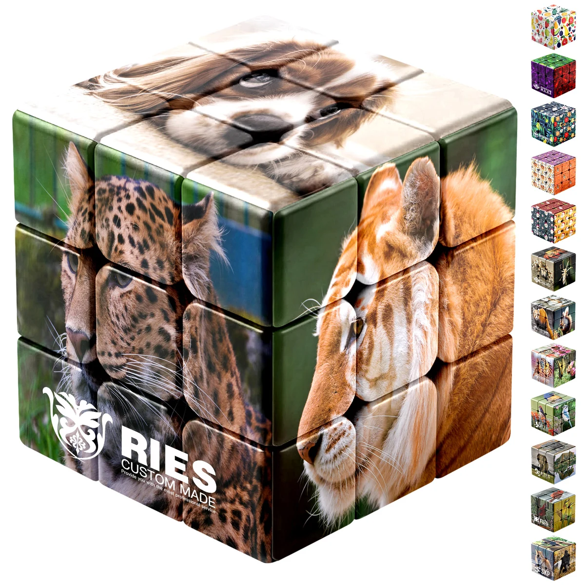 Customized Printing Fun Cube 1
