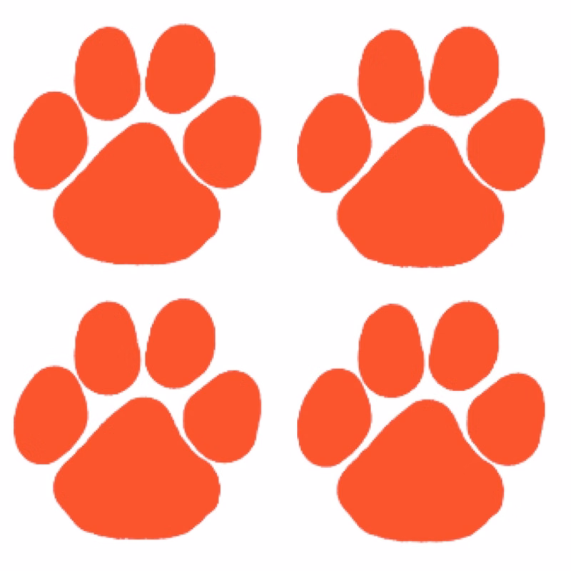 Paw Prints - Peel & Stick Tattoo Sheets of 4 Full color