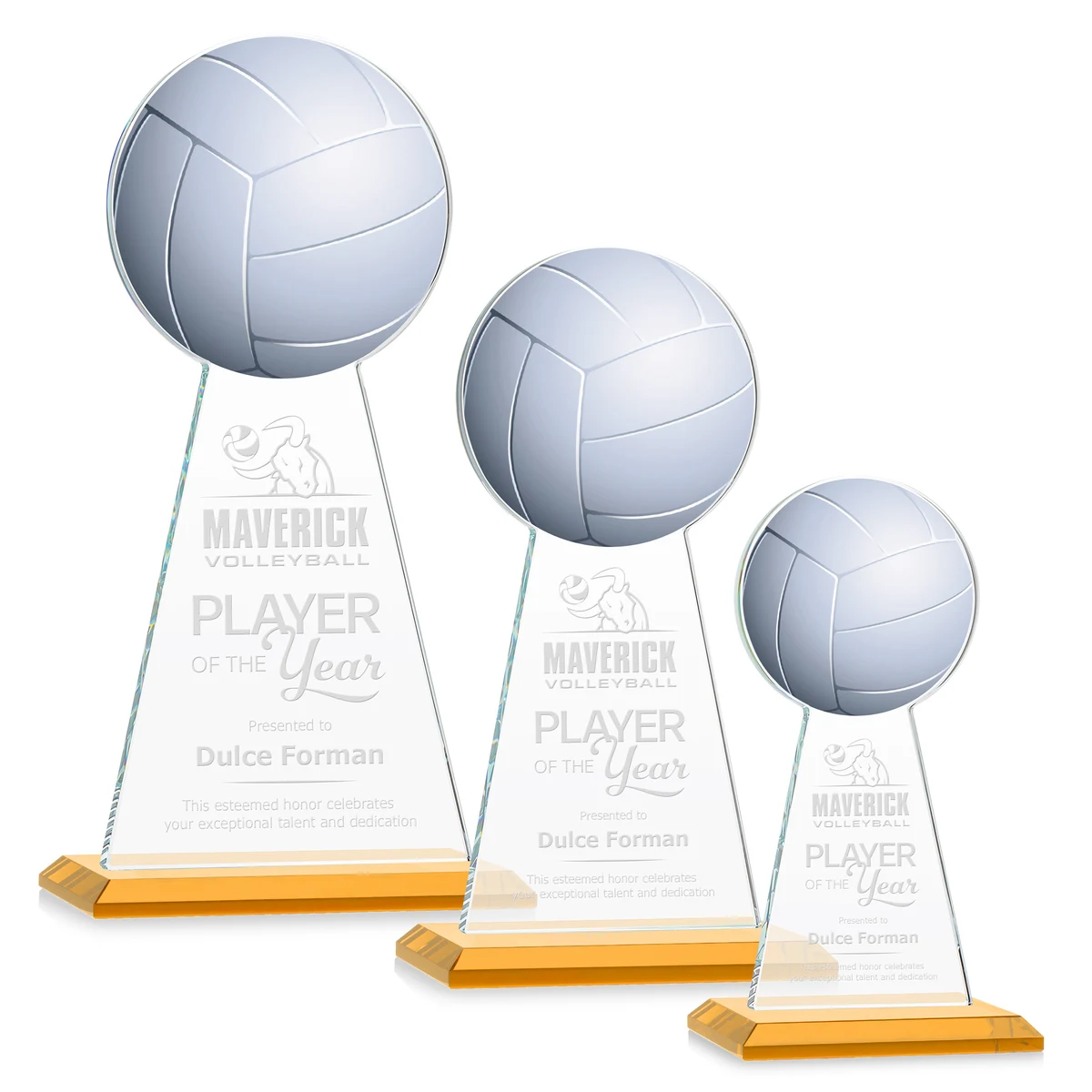 Edenwood Volleyball Award - Amber 1