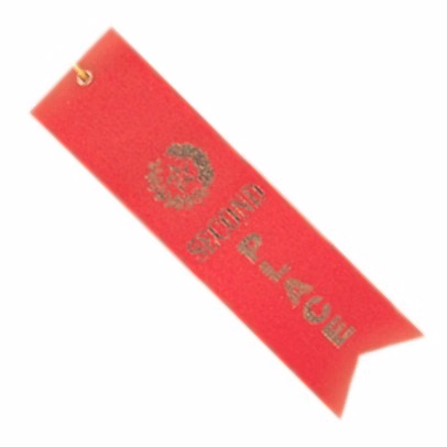Second Place Ribbon 2" x 8"