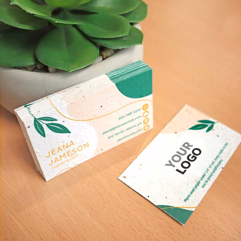 Modern Natural Seed Paper Business Cards