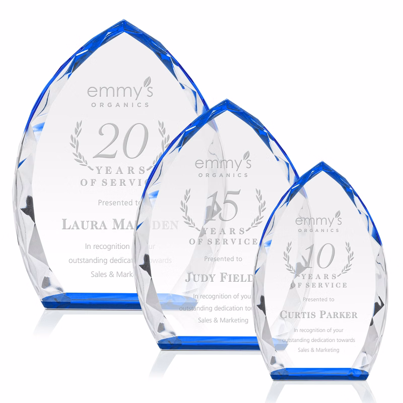 Wilton Award - Blue