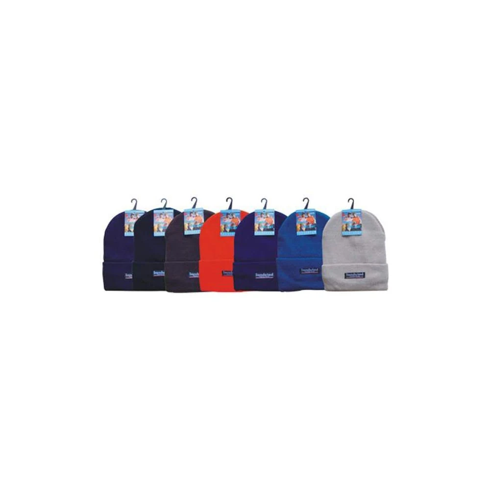 Bulk Adult Insulated Ski Hats Assorted 1