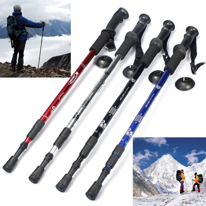 Alpenstock 1