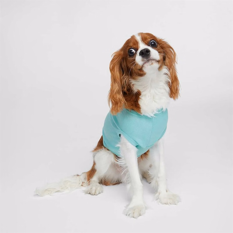 Doggie Skins Tank