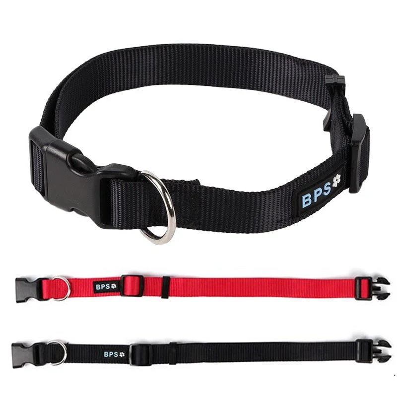 Nylon Dog Collar 1