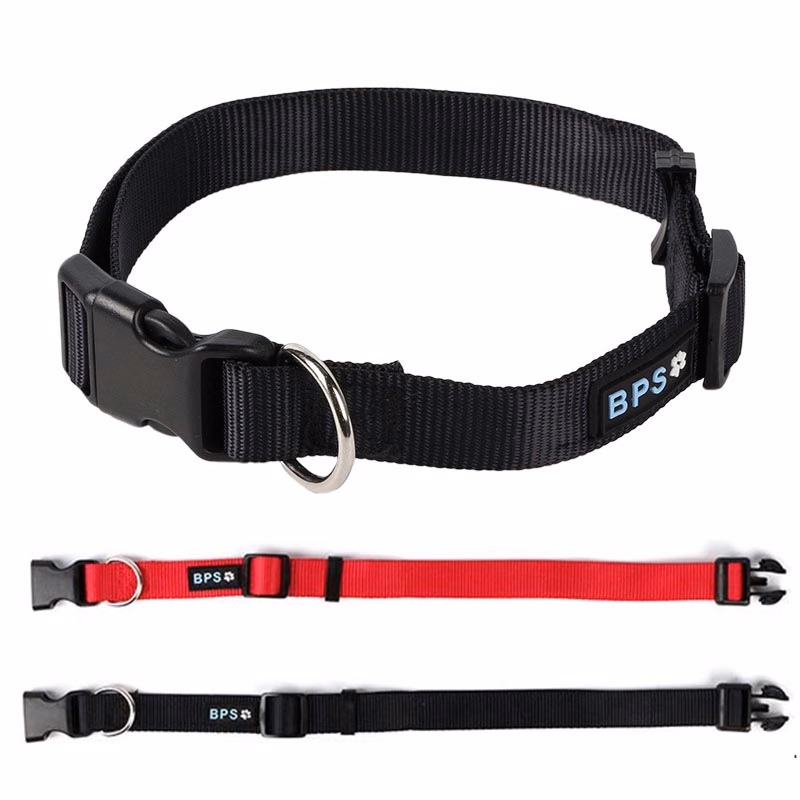 Nylon Dog Collar