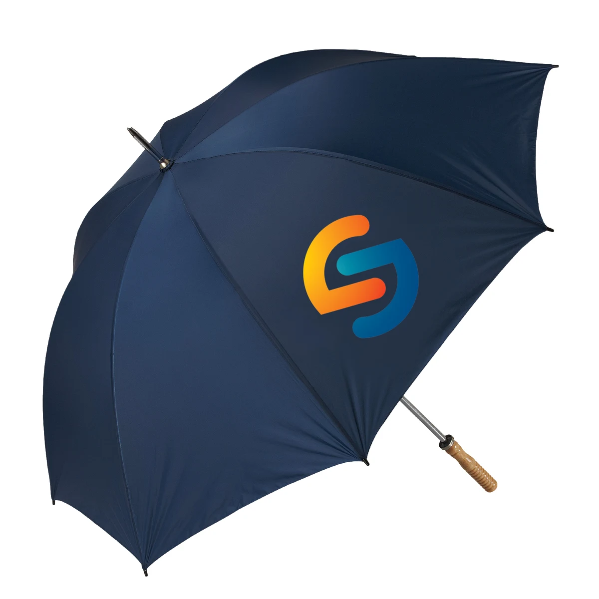 The Booster Umbrella 1