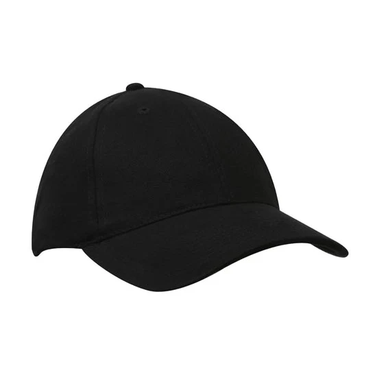 Organic Brushed Heavy Cotton Cap 1