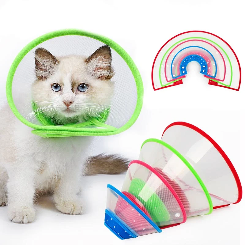 Adjustable Elizabethan Collar 1