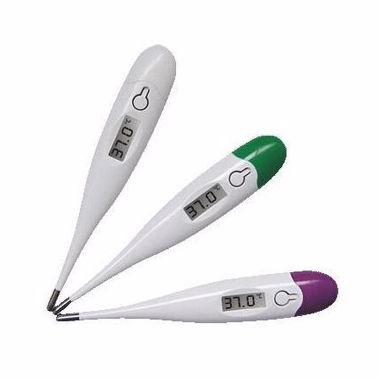 Digital LCD Thermometer