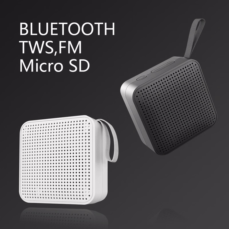 Mini Portable Speaker