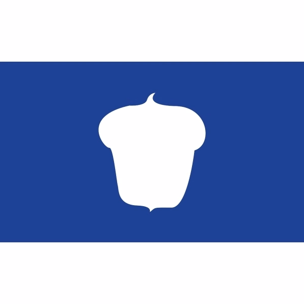 Officers Flag - Treasurer