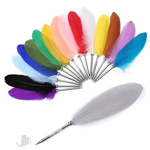 Colorful Feather Pen 1