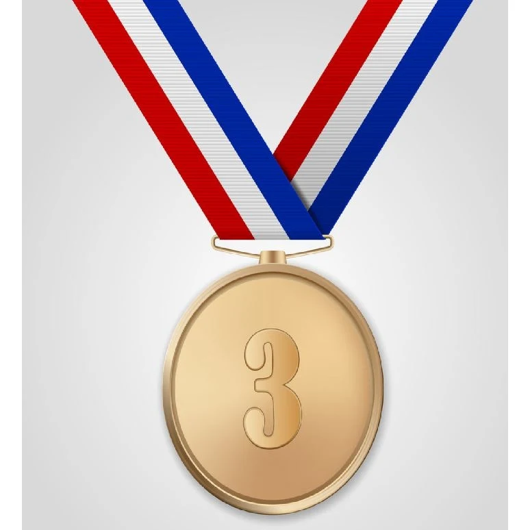 Customized Antique Bronze Plated Zinc Alloy Medal 1
