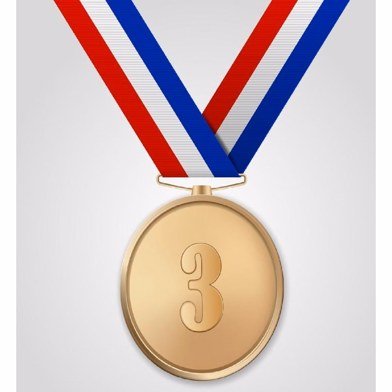 Customized Antique Bronze Plated Zinc Alloy Medal