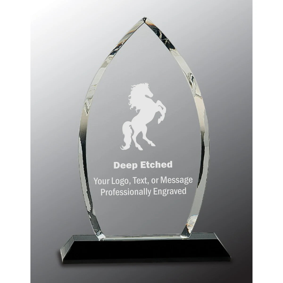 9 1/2" Clear Crystal Oval Award on Black Pedestal Base 1